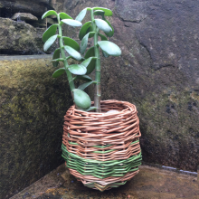 Small &lsquo;nest&#039; plant pot with green stripe